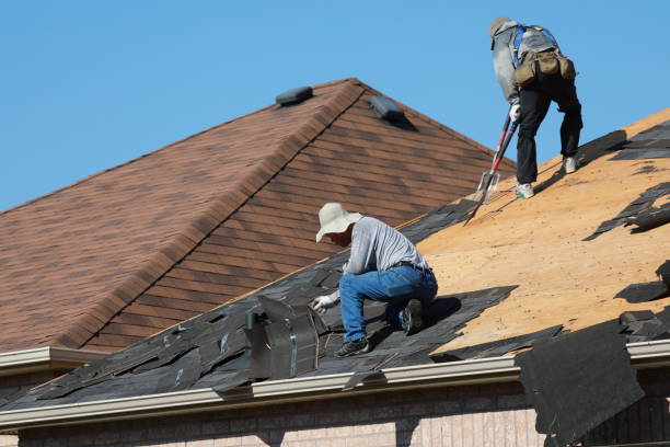 Best Roof Repair  in USA